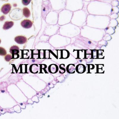 Behind The Microscope