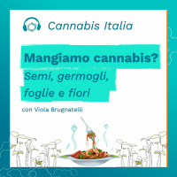 Mangiamo cannabis? Semi, germogli, foglie e fiori