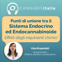 Punti di unione tra il sistema endocrino ed endocannabinoide