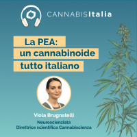 La PEA: un cannabinoide tutto italiano