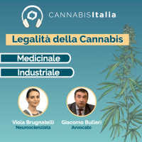 Legalità della Cannabis in Italia [Avvocato]