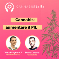 Cannabis: aumentare il PIL [GIORNALISTA]