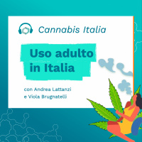 Uso adulto in Italia