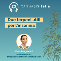2 terpeni che ti aiutano a dormire e perché