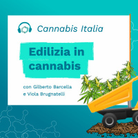 Edilizia in cannabis- Impresa cannabis con Gilberto Barcella