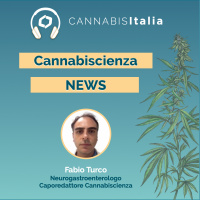 Cannabiscienza News [Stress traumatico: psichedelici e cannabinoidi]