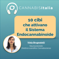 10 Cibi che modulano il Sistema Endocannabinoide