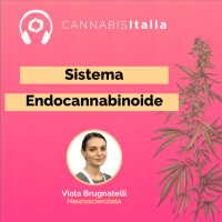 Sistema Endocannabinoide: riscoprirci grazie ad una pianta
