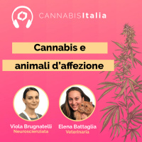 Cannabis e animali daffezione [VETERINARIA]