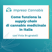 Come funziona la supply chain di cannabis medicinale in Italia
