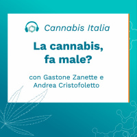 Con Gastone Zanette: la cannabis, fa male?