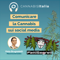 Comunicare la Cannabis sui social [Social Media Strategist]