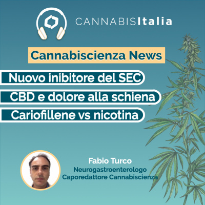 Cannabis Italia