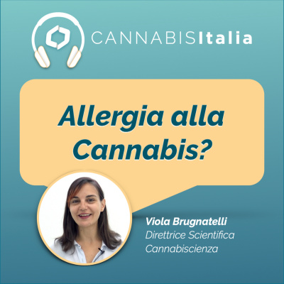 Cannabis Italia