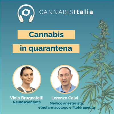 Cannabis Italia
