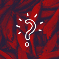 Its not about fish its about people