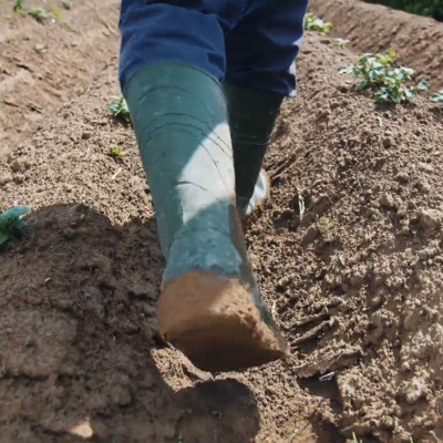 Catholic Health Prayers and Reflections