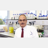 Michael Lisanti on Antibiotics, Anti-Aging Drugs for COVID-19, Cancer