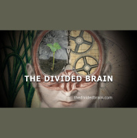 Iain McGilchrist on Pandemics, The Divided Brain, Physics, Morphic Fields, and Rene Girard