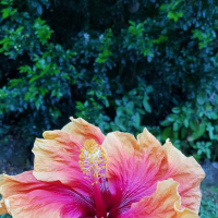 Modern Slavery: Om Prakash Gurjar speaks about the culture of slavery and India to Jodee Sydney and Renée Chopping from Destiny Rescue and the amazing work rescuing young people from sex slavery.