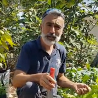 1.03 The Cultivation of Human Beings with Alex Kachan