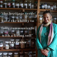 1.12 Kay Baxter- The Communication Of Heritage Seeds: Learning To Make An Impact By Just Starting Where You Are