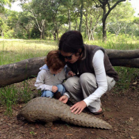 1.15 Sarah Savory and Holistic Storytelling - Learning To Make Decisions Like A Human 