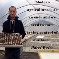 1.13 Harel Weiss- Seeds Of Change- Learning To Come From A Place Of Peace