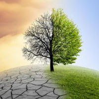 Trees - Climate Silver Bullet - Season 5 Episode 3