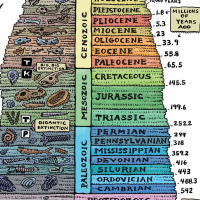 Disappearing Species - Season 6 Episode 21