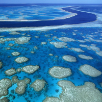 Ocean Sustainability