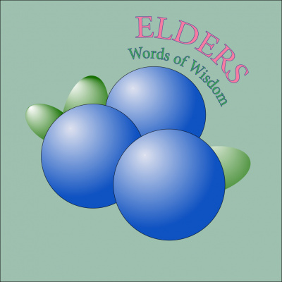 Elders - Words of Wisdom