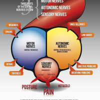 Patient Appriecation Day