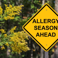 Seasonal Allergies