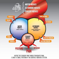 Boost Your Energy in the New Year!