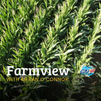 Farmview October 2nd 2025
