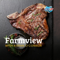 Farmview November 13th 2025 