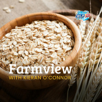 Farmview November 20th 2025 