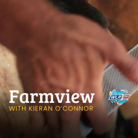 Farmview September 4th 2025