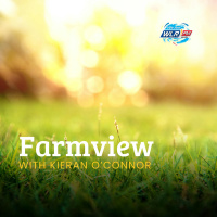  Farmview November 28th