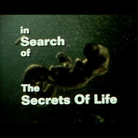 S02E14 - The Secrets of Life