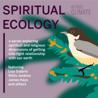 Sanctuary and change with Willis Jenkins