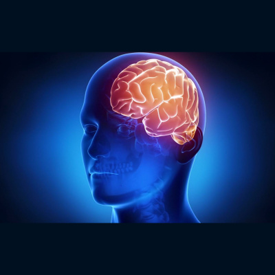 Master Class con Xurxo Mariño: neurociencia