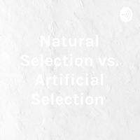 Matching GMOs Not Snatching!