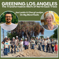 Greening Los Angeles: The Transformative Work of North East Trees