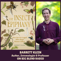 Barrett Klein - The Insect Epiphany