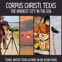 Corpus Christi, Texas: The Birdiest City in the USA