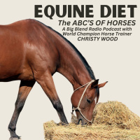 Christy Wood - What to Feed Your Horse