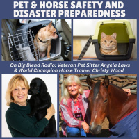 Pet  Horse Safety and Disaster Preparedness