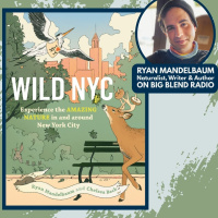 Discover NYCs Hidden Nature with Ryan Mandelbaum